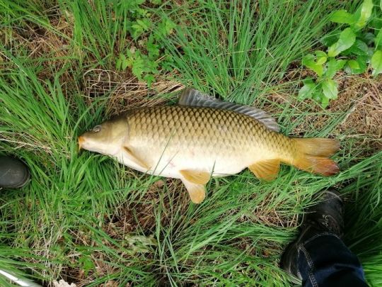 Süd-Nord-Kanal (Twist)