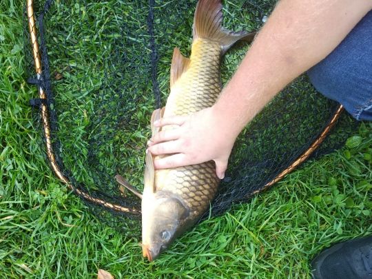 Hengelesweiher (Isny)-1