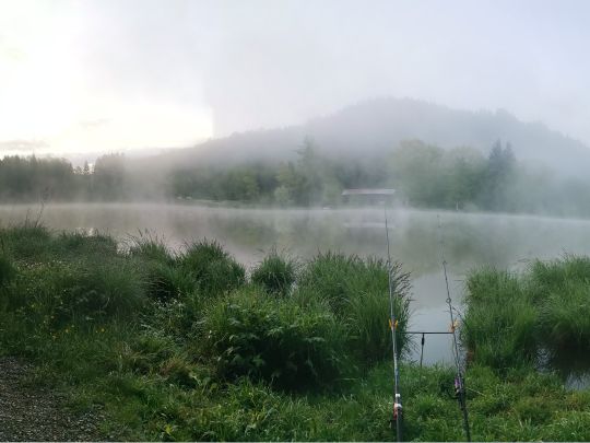 Hengelesweiher (Isny)-3