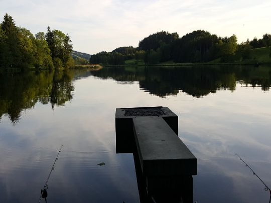 Hengelesweiher (Isny)-2