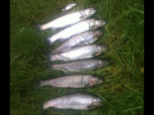 Teich Stadtpark Rheine