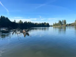 Lechstaustufe 15 (Lech)