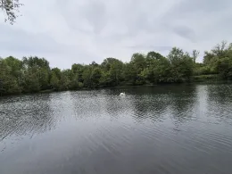 Moselweiher (Wellenstein)