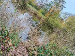 Feuerwehrteich (Homfeld)-2