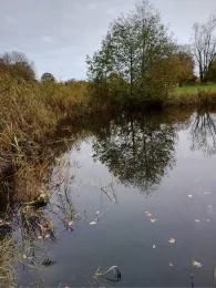 Feuerwehrteich (Homfeld)-3