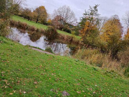 Feuerwehrteich (Homfeld)-1