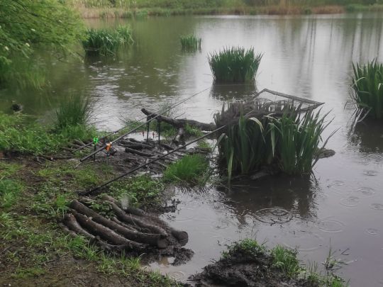 Hüttenteich (Brand-Erbisdorf)-4