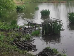 Hüttenteich (Brand-Erbisdorf)-4