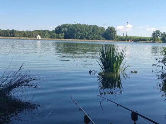 Hüttenteich (Brand-Erbisdorf) angeln