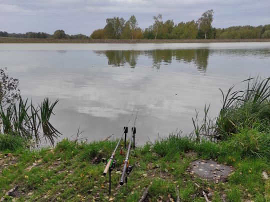 Hüttenteich (Brand-Erbisdorf)-3