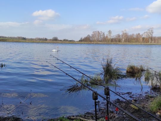 Hüttenteich (Brand-Erbisdorf)-2