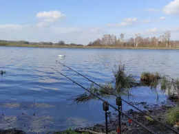 Hüttenteich (Brand-Erbisdorf)-2