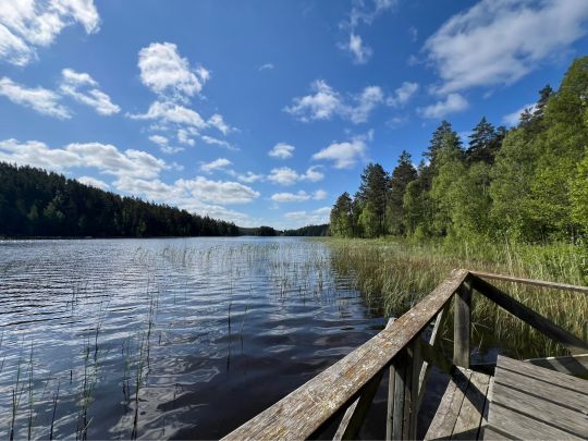 Vagnsjön (ÖStergötland)