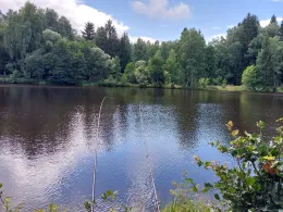 Dolni Hranični Rybnik-1