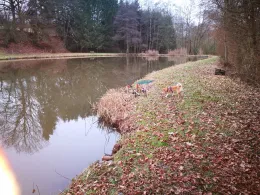 Vereinsgewässer ASV Überroth