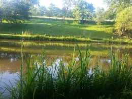 Vereinsgewässer ASV Überroth-2