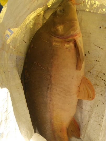 Nassauer See-1
