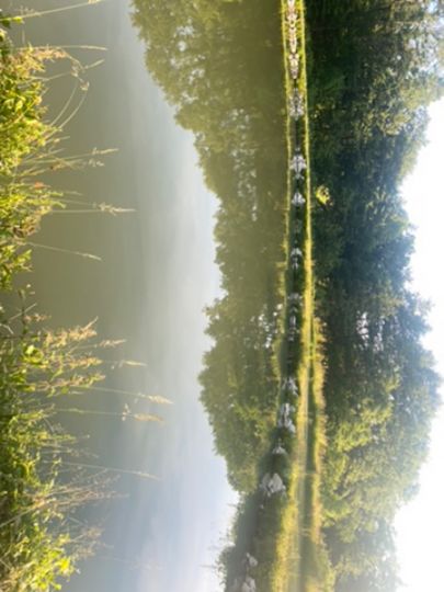 Weiher Creez
