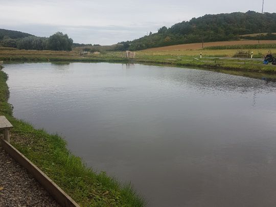 Forellensee Lutter am Barenberge-2