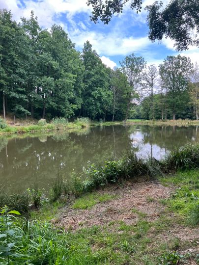 Bleichteiche (Herrnhut)-3