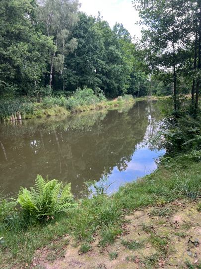 Bleichteiche (Herrnhut)-2