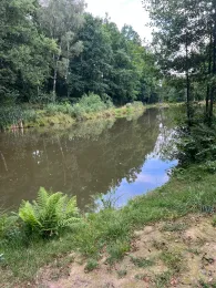 Bleichteiche (Herrnhut)-2