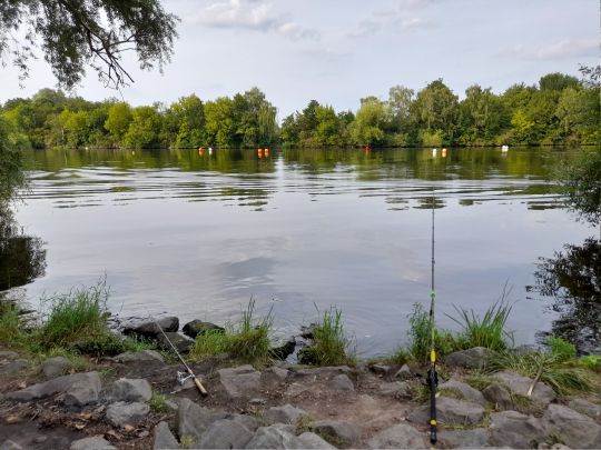 Main-Altarm Hanau-Steinheim-4