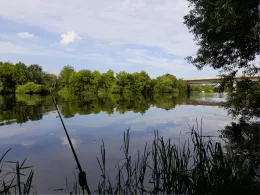 Main-Altarm Hanau-Steinheim