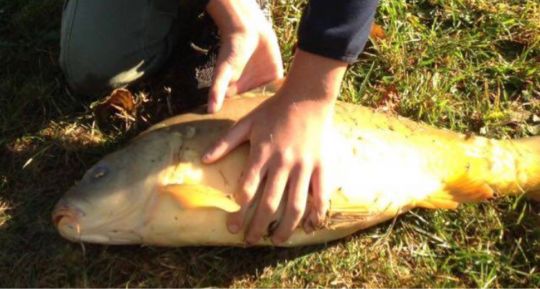 Angelteiche Lohrhaupten-2