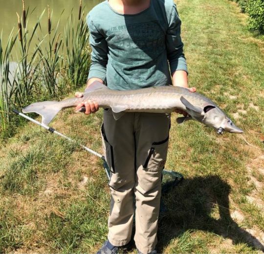 Angelteiche Lohrhaupten-1