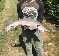 Angelteiche Lohrhaupten