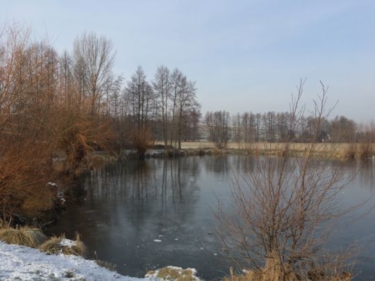 Teich Saara-4