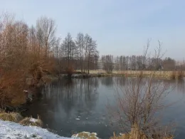 Teich Saara-4