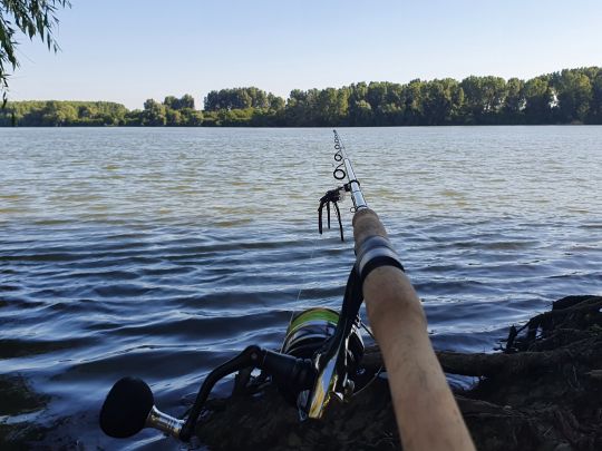 Donau (Brațul Sfântu Gheorghe)