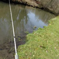 Weschnitz (Mörlenbach)