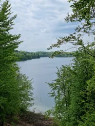 Peetschsee (Fürstenberg/Havel)