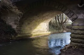 Alsenz (Hochstätten)-4