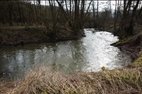 Alsenz (Hochstätten)-3