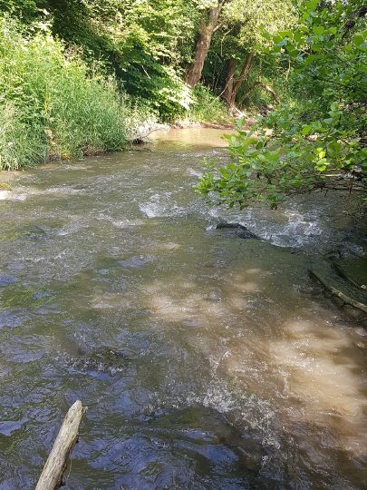 Alsenz (Hochstätten)-0