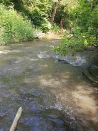 Alsenz (Hochstätten)-0