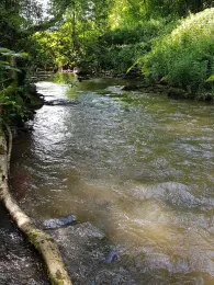 Alsenz (Hochstätten)