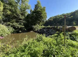 Alsenz (Hochstätten)