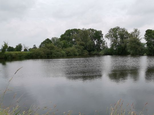 Burfeindteich 