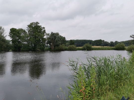 Burfeindteich -1