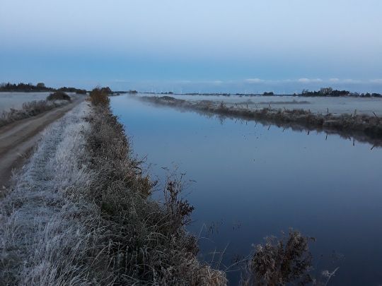 Warsingsfehnkanal-1