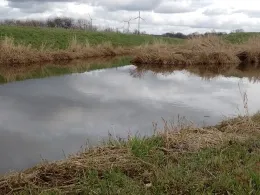 Lager Hase (Gut Lage)