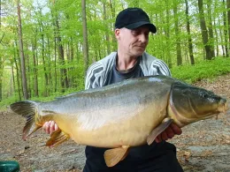 Plötzensee (Flecken Zechlin)