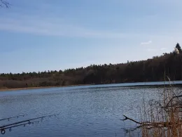 Plötzensee (Flecken Zechlin)-1