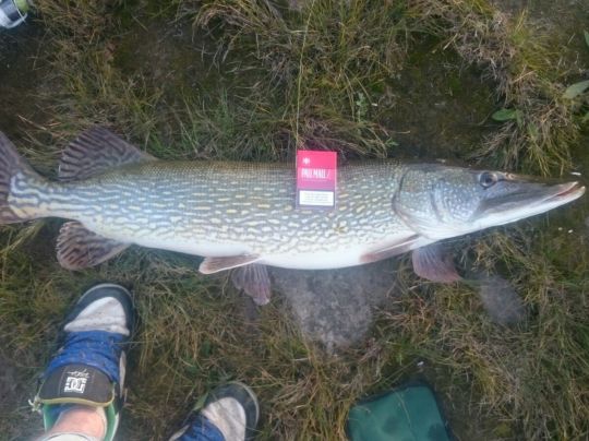 Elbe (Lenzen/Elbe)-3