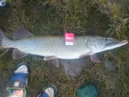 Elbe (Lenzen/Elbe)-3